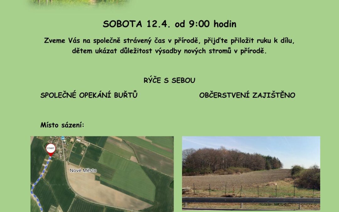SÁZENÍ MALINKÝCH STROMEČKŮ NA VIPICHU